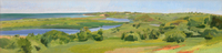 Panoramic